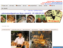 Tablet Screenshot of cakhotranluan.com
